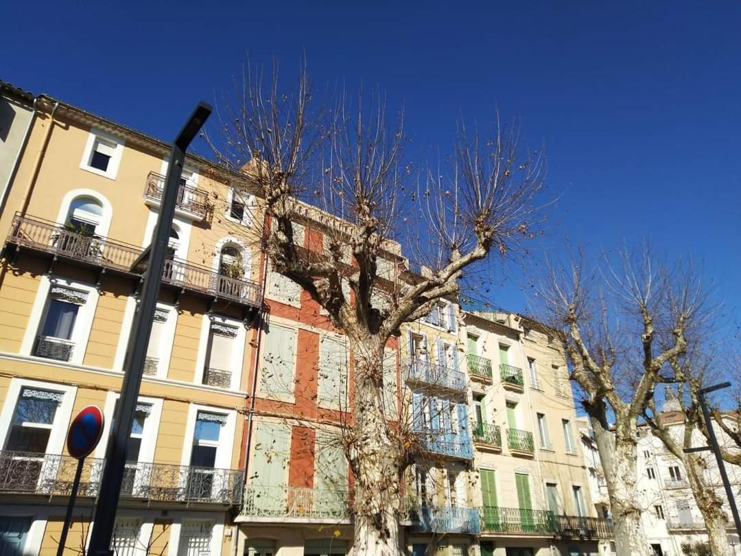 Entre Ville Et Canal, Calme Et Central !Gare A 700 M Narbonne Dış mekan fotoğraf